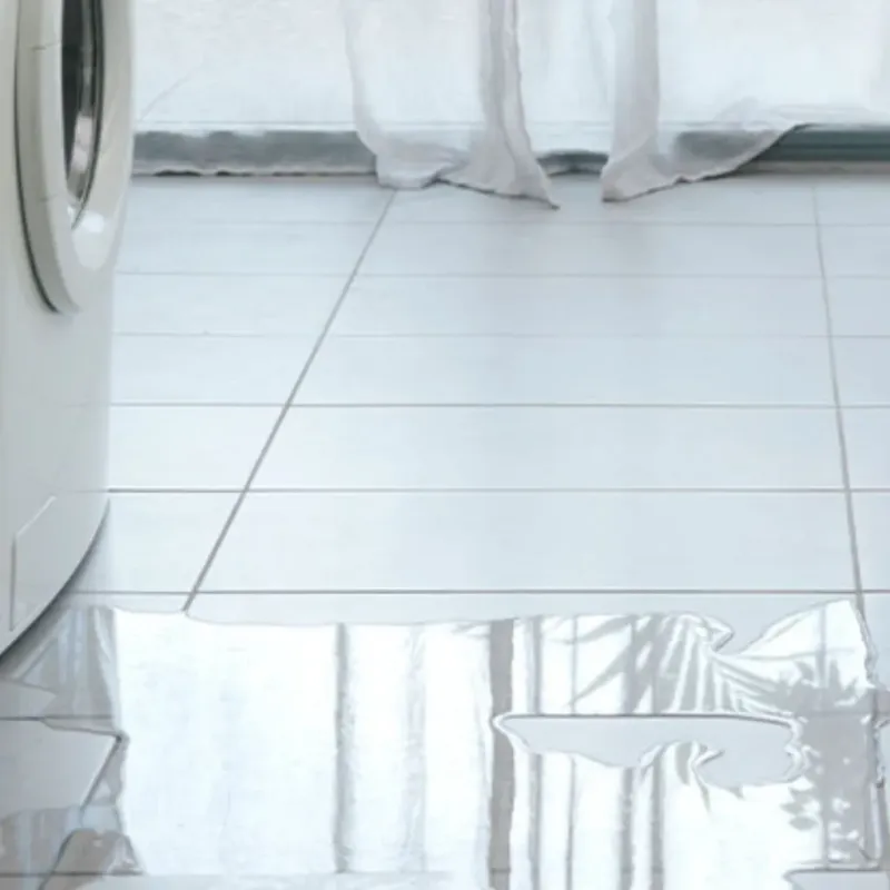 Appliance Leak Cleanup in Godley, TX