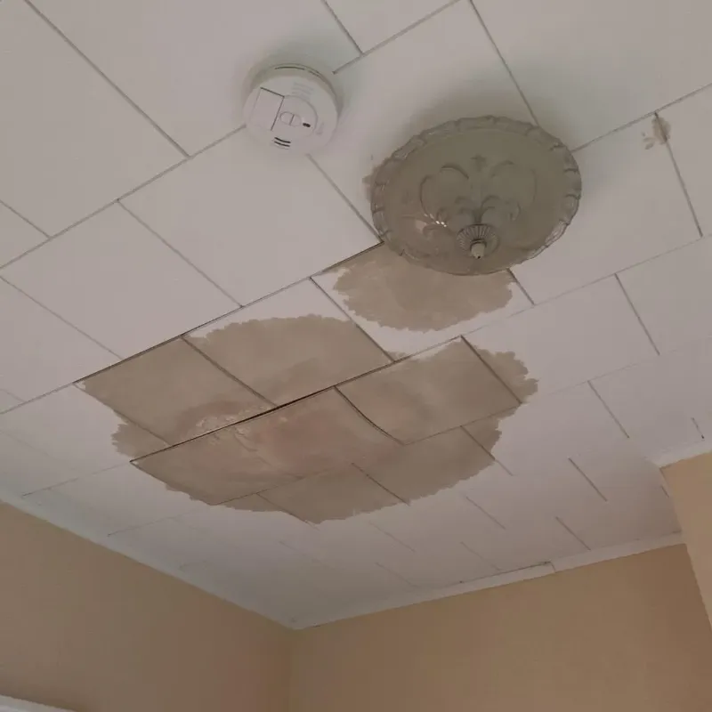 Ceiling Water Damage Repair in Godley, TX