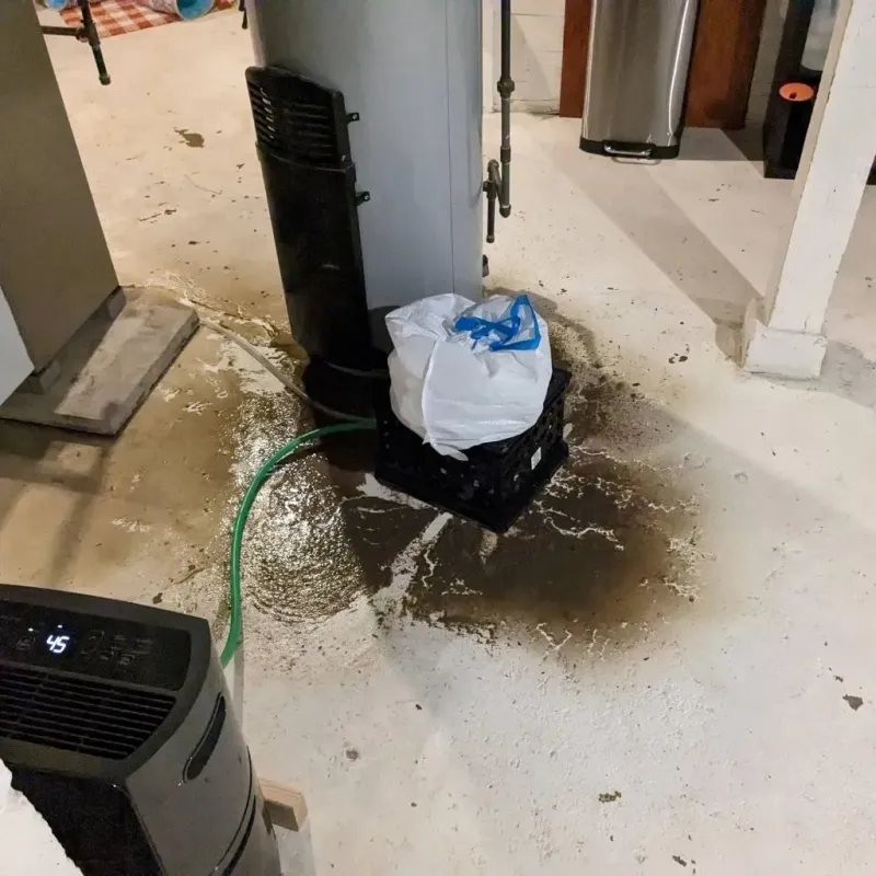 Sewage Backup Cleanup Service in Godley, TX